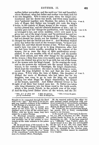 Image of page 493