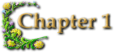 Chapter 1