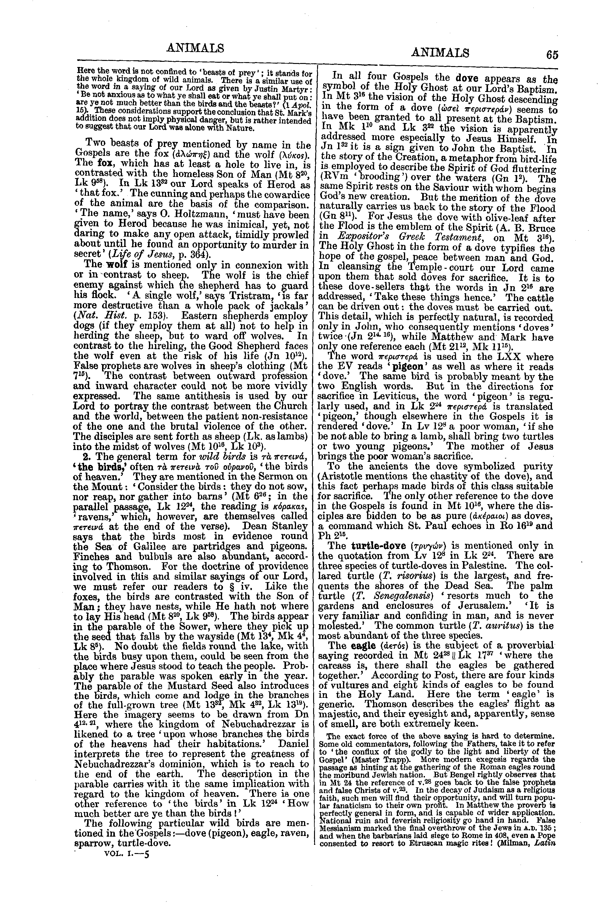 Image of page 65