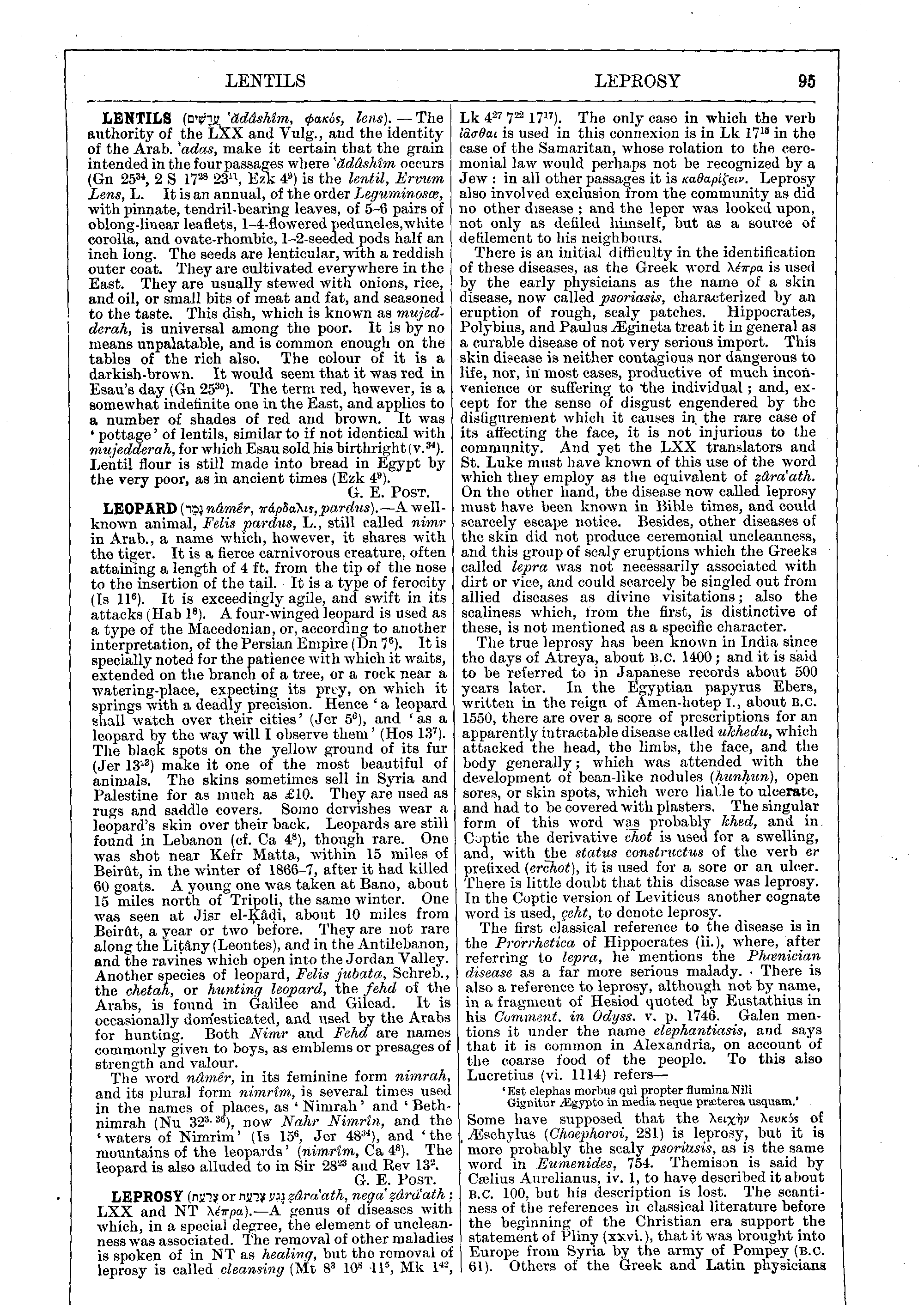 Image of page 95