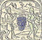 Woodcut Illustration: The Bunch of Grapes
